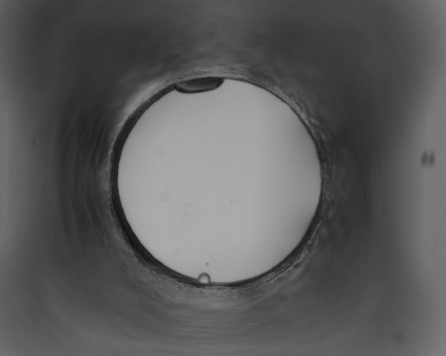 X0000089360008200707131625