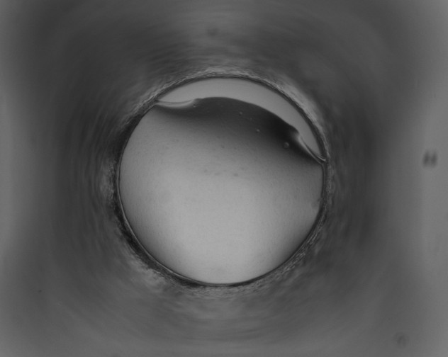 X0000089360009200707131625