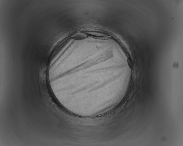 X0000089360010200707131625
