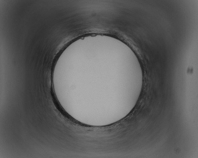 X0000089360011200707131625