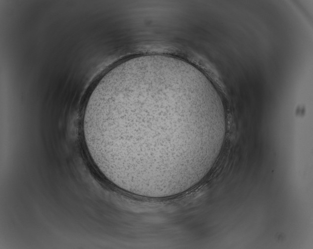X0000089360012200707131625