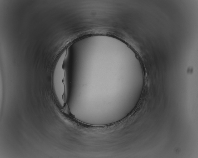 X0000089360013200707131625