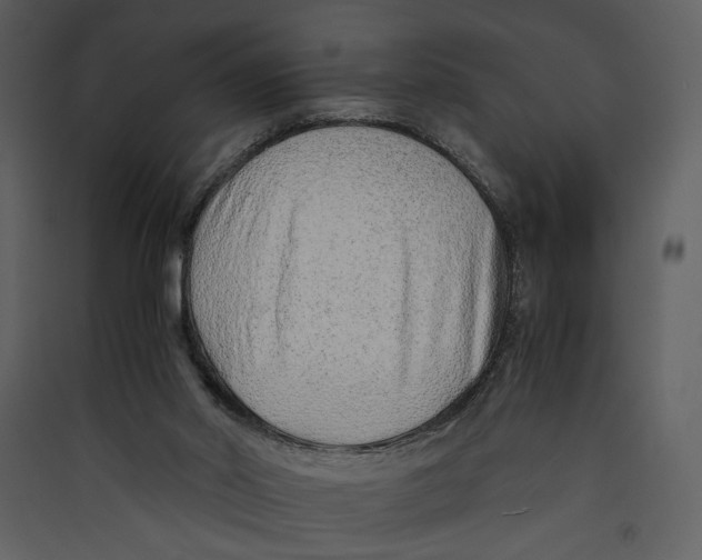 X0000089360014200707131625