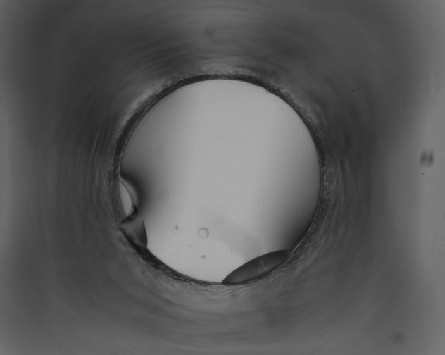 X0000089360015200707131625