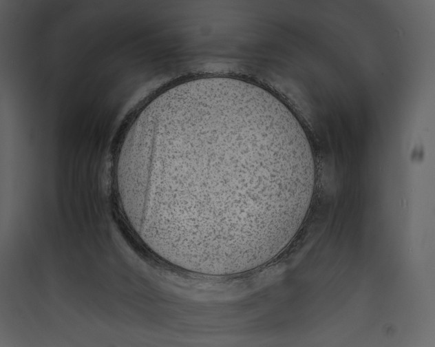 X0000089360016200707131625