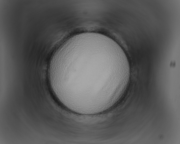 X0000089360018200707131625