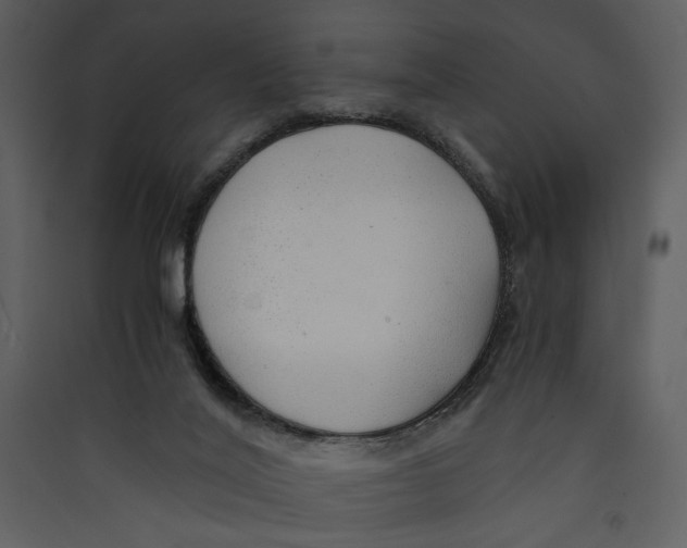 X0000089360020200707131625