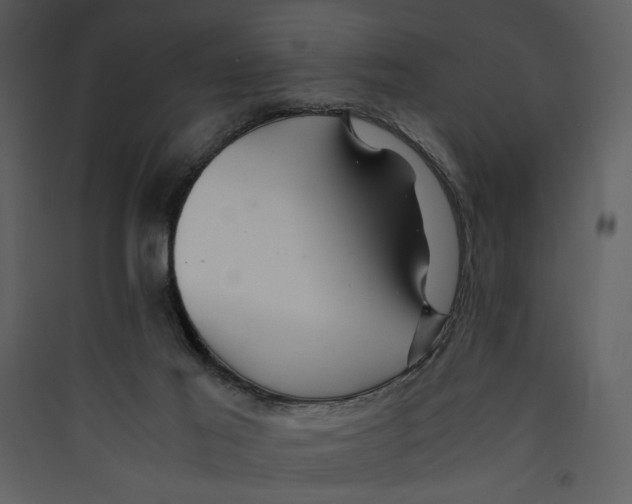 X0000089360021200707131625