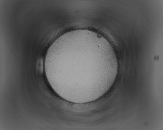 X0000089360022200707131624