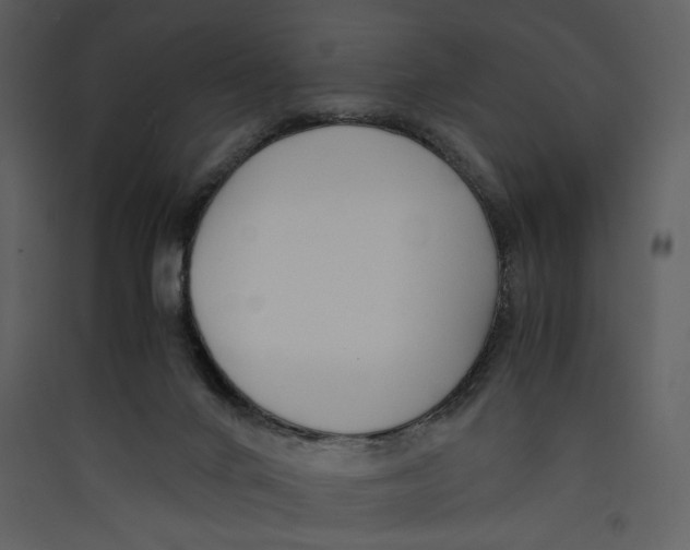X0000089360024200707131624