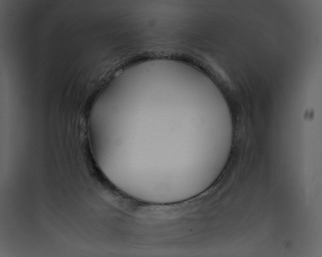 X0000089360025200707131624