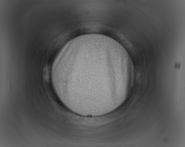 X0000089360026200707131624