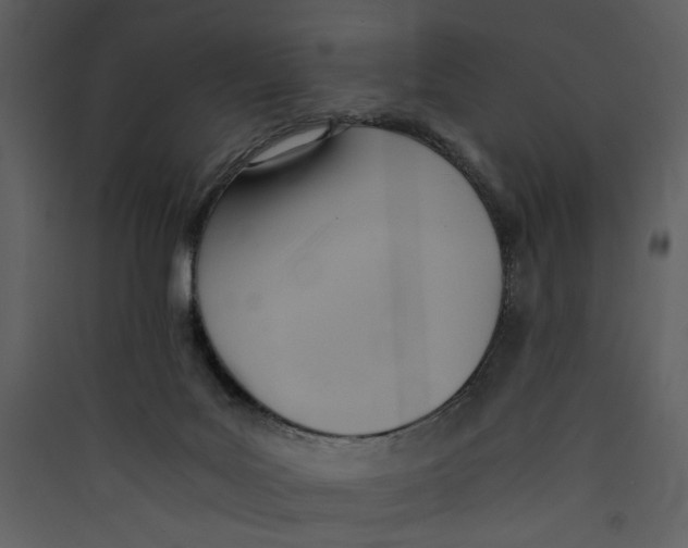 X0000089360027200707131624