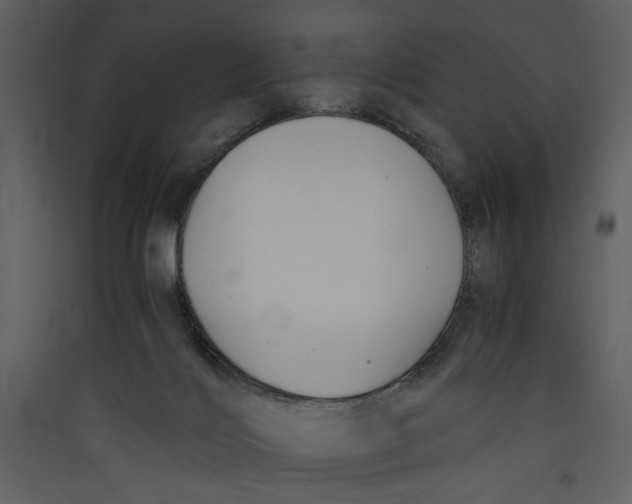 X0000089360028200707131624
