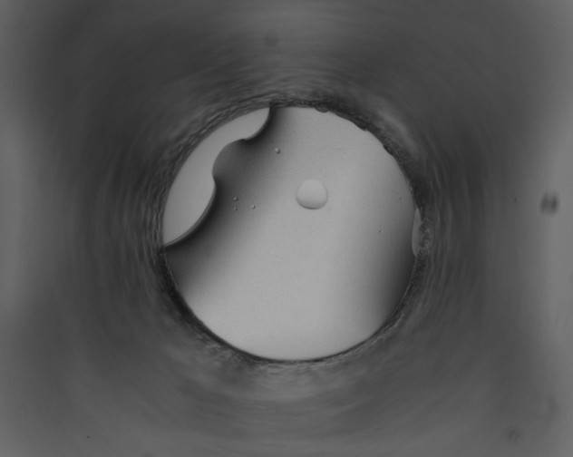 X0000089360029200707131624