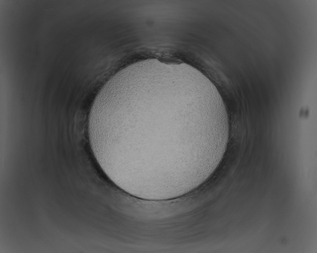 X0000089360030200707131624
