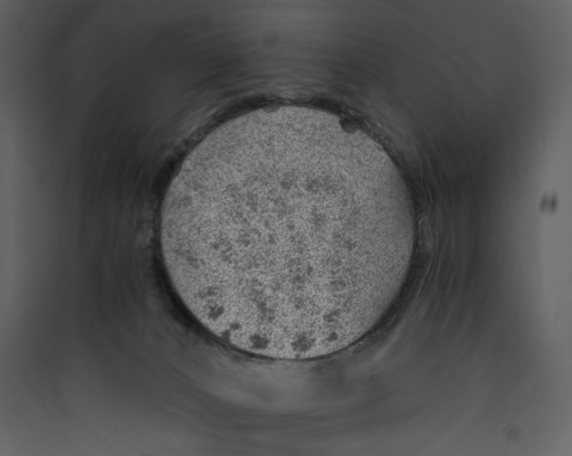 X0000089360032200707131624