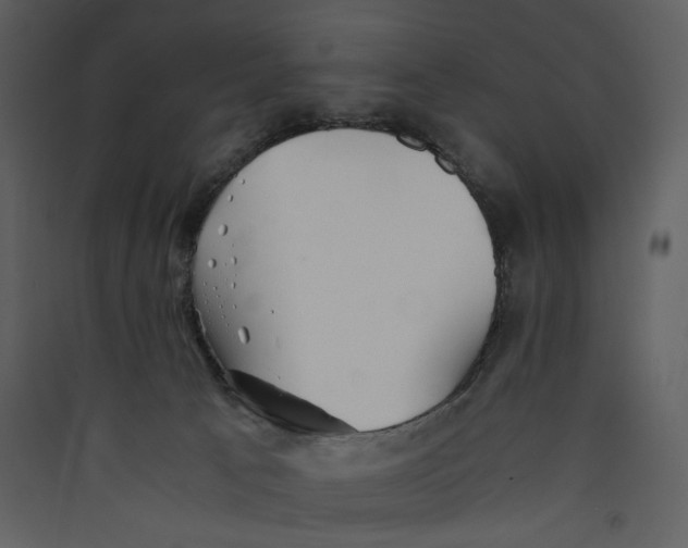 X0000089360033200707131624
