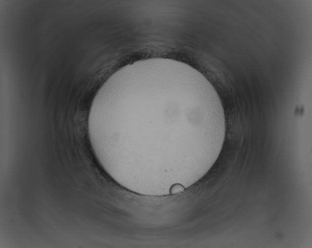 X0000089360034200707131624