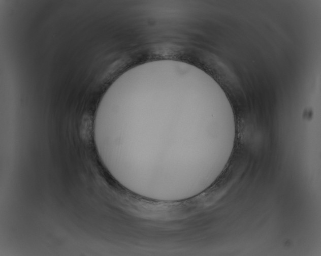 X0000089360036200707131624