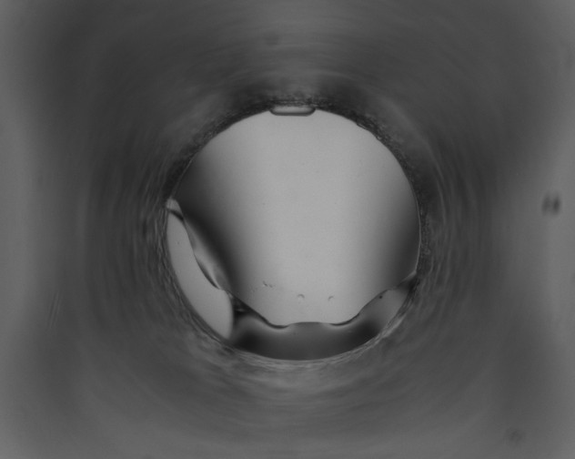 X0000089360037200707131624