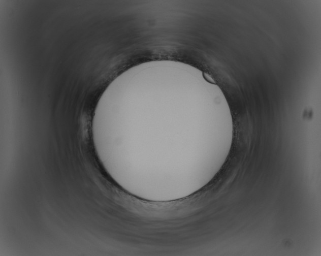 X0000089360038200707131624