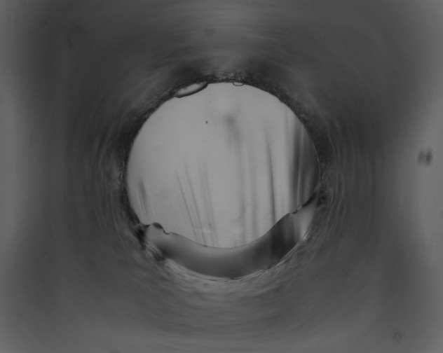 X0000089360039200707131624