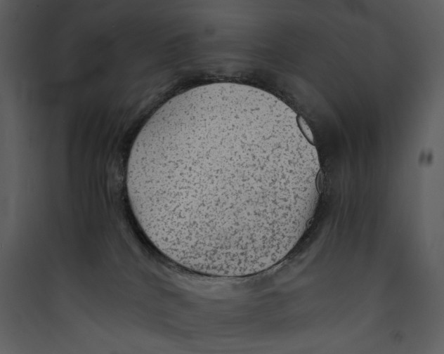 X0000089360040200707131624