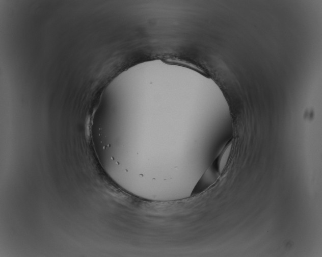 X0000089360041200707131624