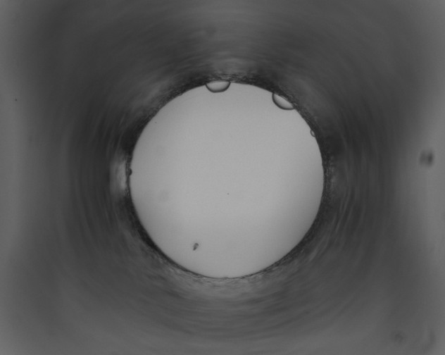 X0000089360042200707131624