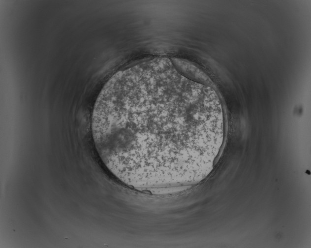 X0000089360043200707131624