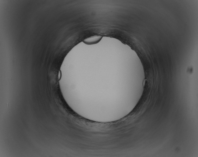 X0000089360044200707131624
