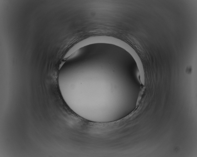 X0000089360045200707131624