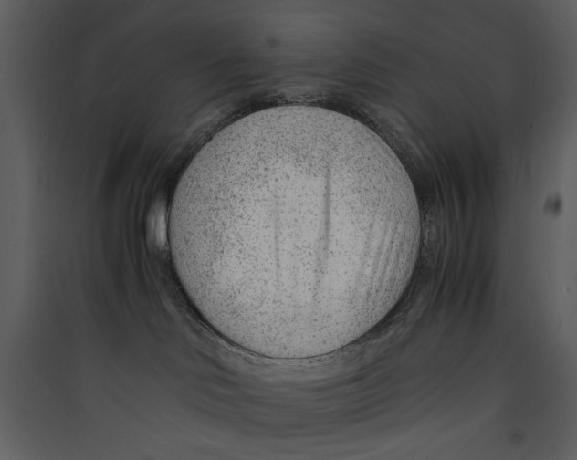 X0000089360046200707131624