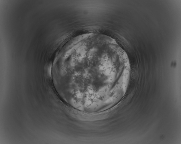 X0000089360047200707131624
