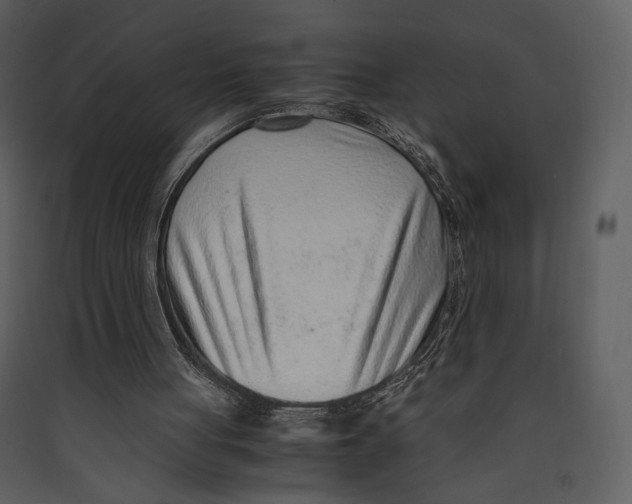 X0000089360051200707131623