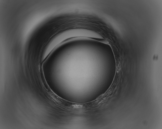 X0000089360052200707131623