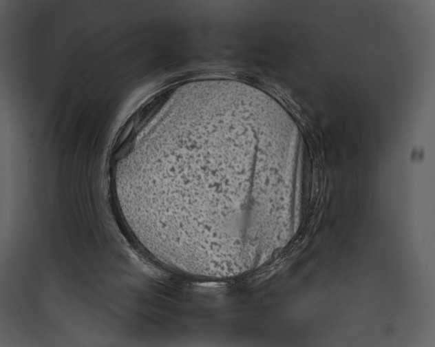 X0000089360053200707131623