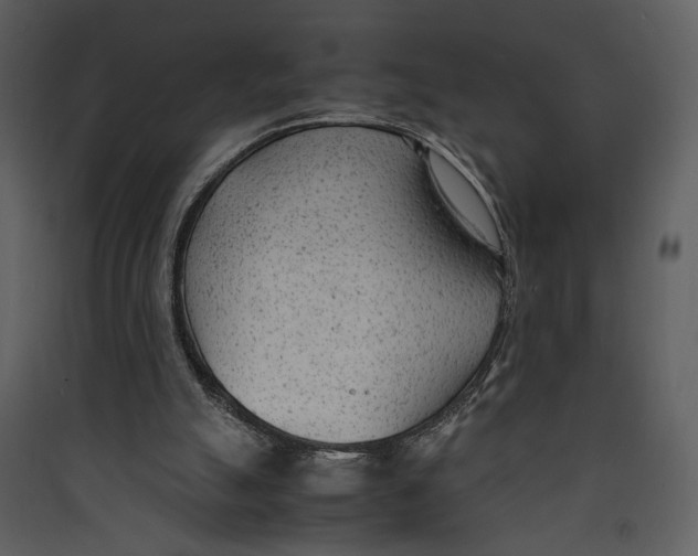 X0000089360055200707131623