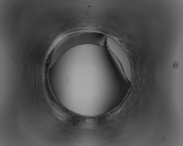 X0000089360056200707131623
