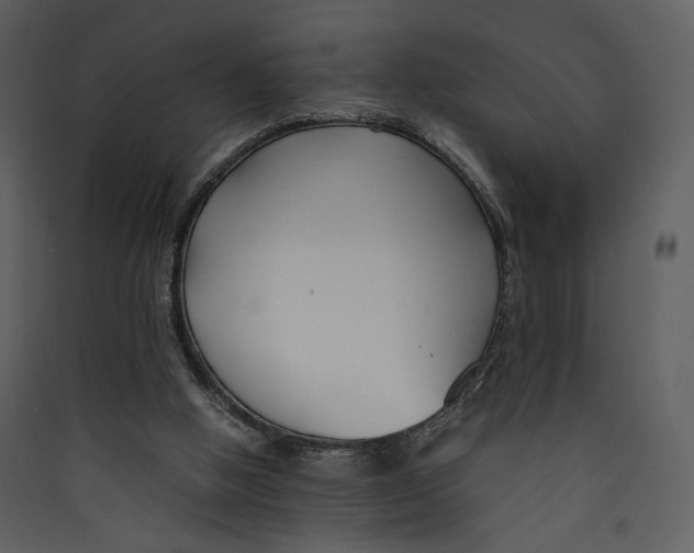 X0000089360058200707131623