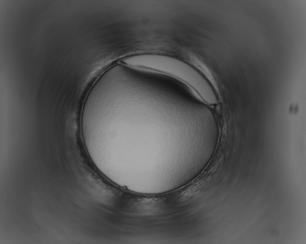 X0000089360059200707131623