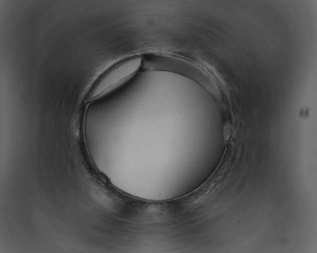 X0000089360060200707131623