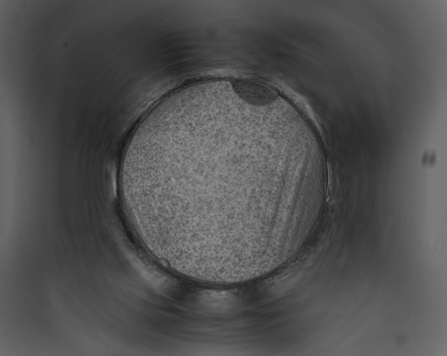 X0000089360061200707131623
