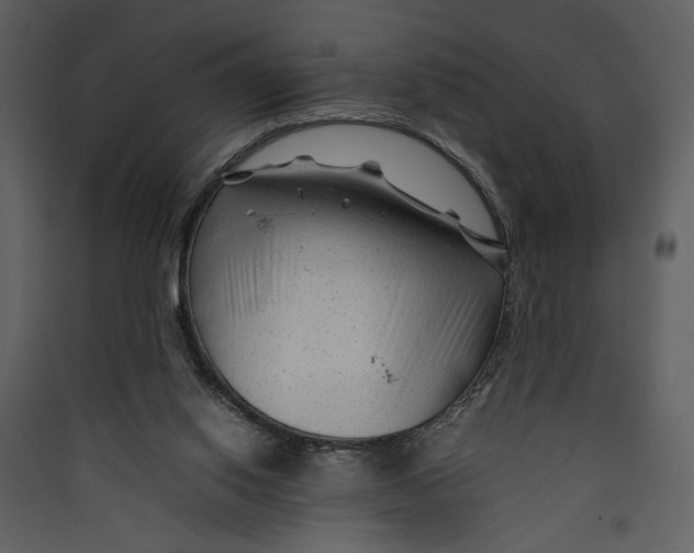 X0000089360062200707131623