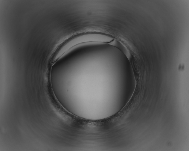 X0000089360064200707131623