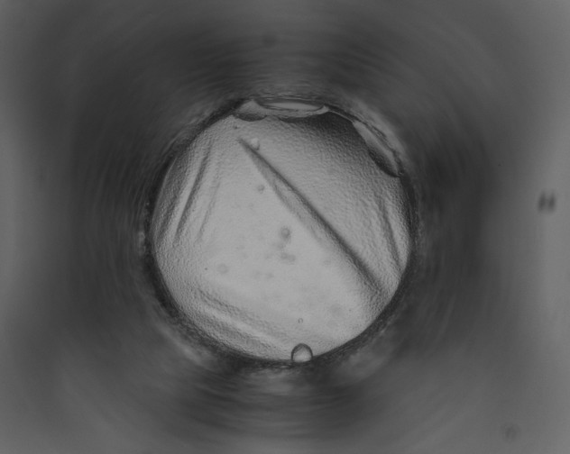 X0000089360065200707131624