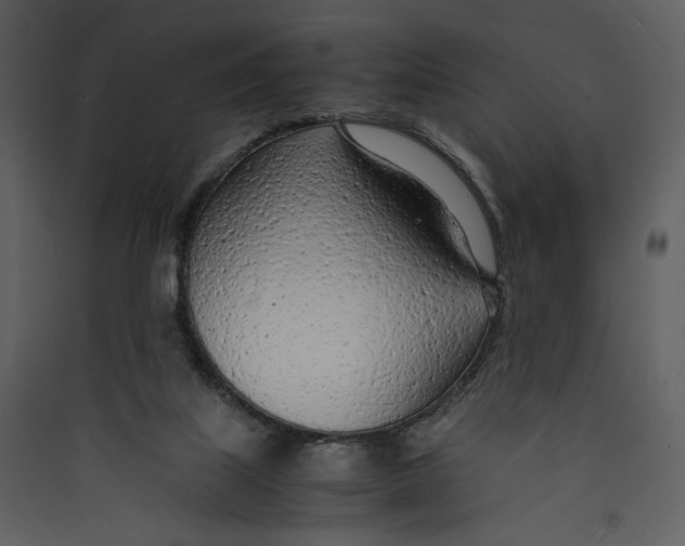 X0000089360067200707131624