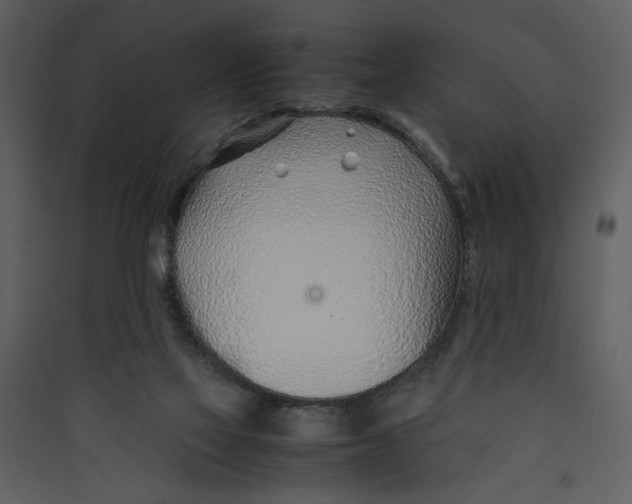 X0000089360069200707131624