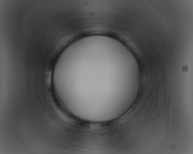 X0000089360070200707131624
